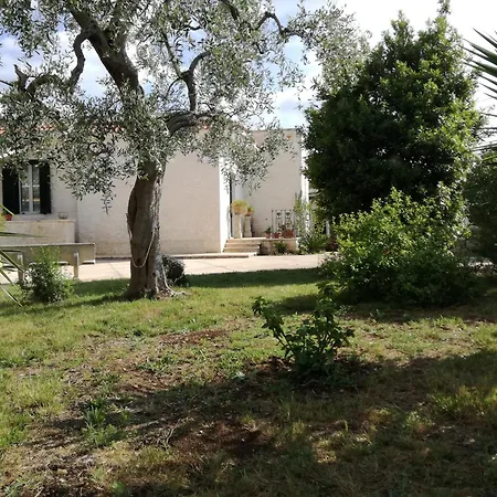 Guest house Countryhouse *